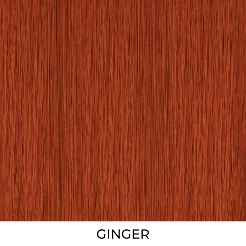 GINGER