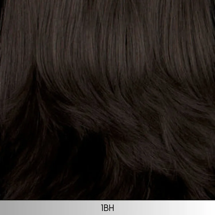 1BH - Off black with medium dark brown highlights